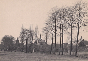 Senftenberg